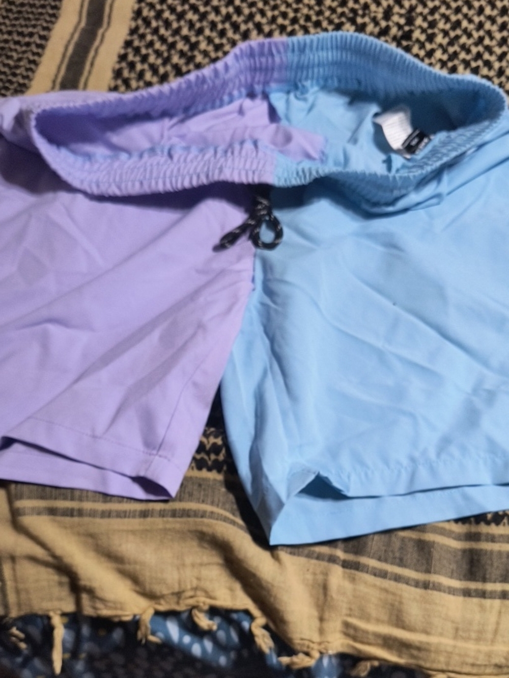 Athletic Two-Tone Purple & Light Blue Women's Shorts